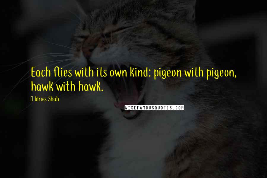 Idries Shah Quotes: Each flies with its own kind: pigeon with pigeon, hawk with hawk.