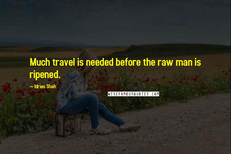 Idries Shah Quotes: Much travel is needed before the raw man is ripened.
