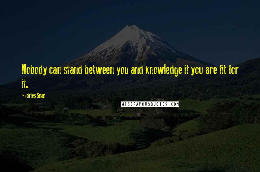 Idries Shah Quotes: Nobody can stand between you and knowledge if you are fit for it.