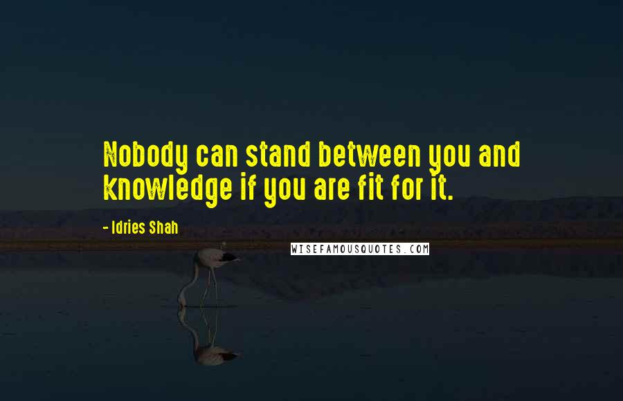 Idries Shah Quotes: Nobody can stand between you and knowledge if you are fit for it.