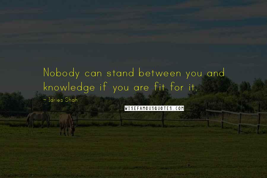 Idries Shah Quotes: Nobody can stand between you and knowledge if you are fit for it.