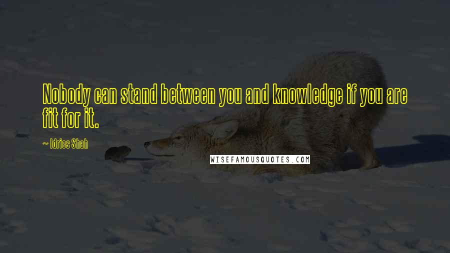 Idries Shah Quotes: Nobody can stand between you and knowledge if you are fit for it.