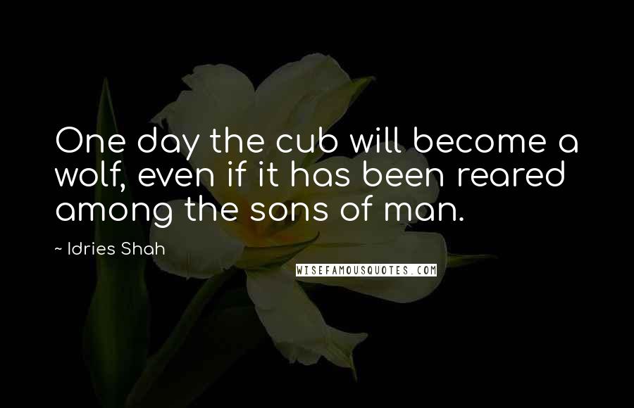 Idries Shah Quotes: One day the cub will become a wolf, even if it has been reared among the sons of man.