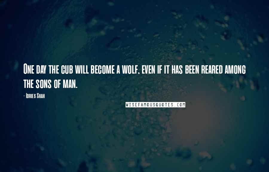 Idries Shah Quotes: One day the cub will become a wolf, even if it has been reared among the sons of man.