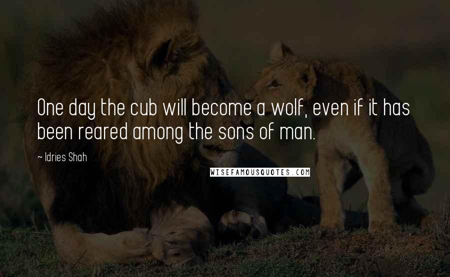 Idries Shah Quotes: One day the cub will become a wolf, even if it has been reared among the sons of man.