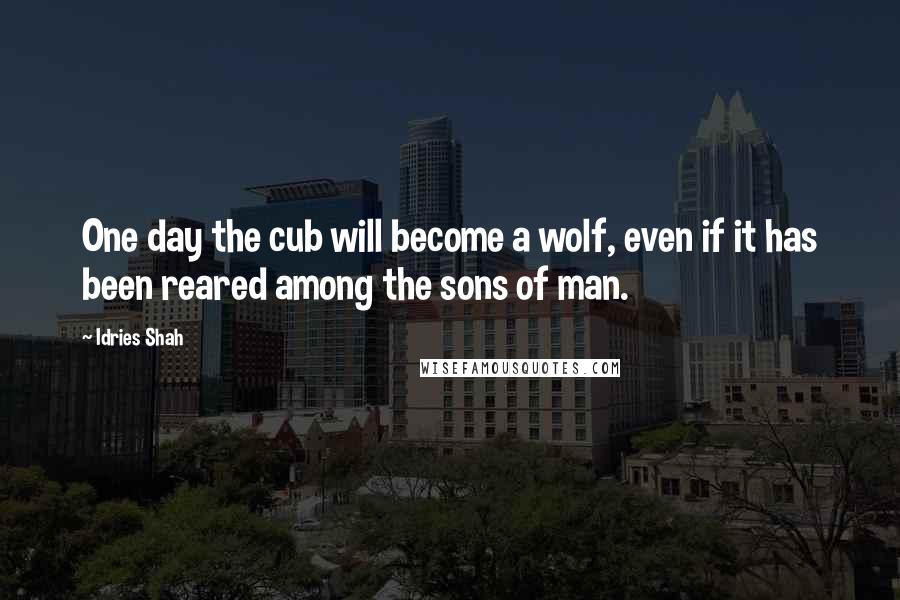 Idries Shah Quotes: One day the cub will become a wolf, even if it has been reared among the sons of man.