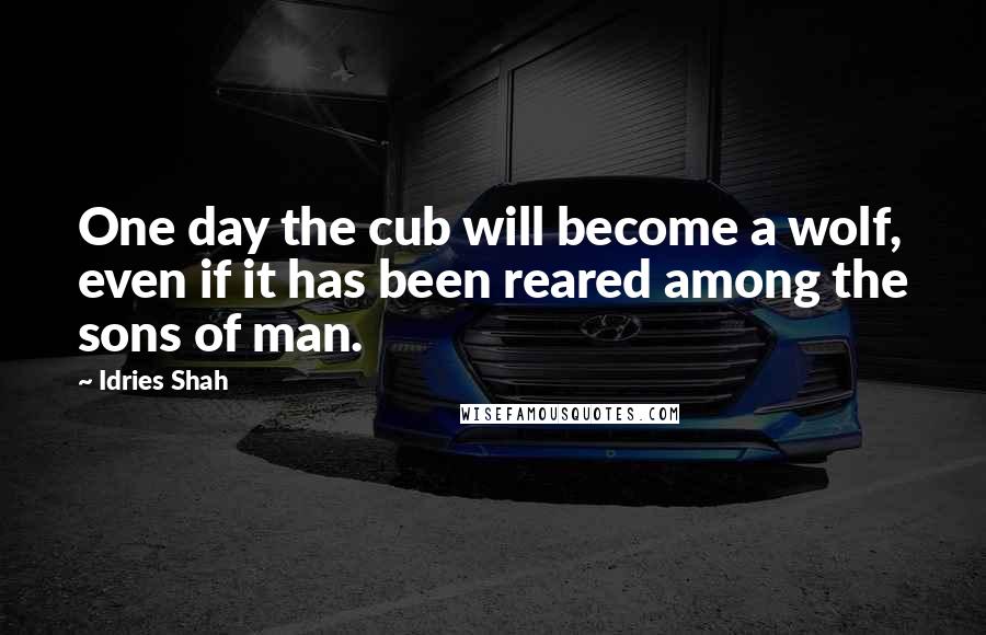 Idries Shah Quotes: One day the cub will become a wolf, even if it has been reared among the sons of man.