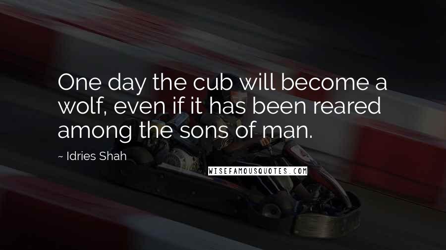 Idries Shah Quotes: One day the cub will become a wolf, even if it has been reared among the sons of man.