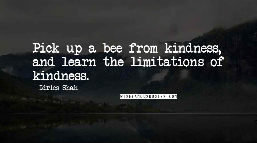 Idries Shah Quotes: Pick up a bee from kindness, and learn the limitations of kindness.