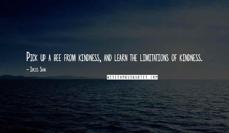 Idries Shah Quotes: Pick up a bee from kindness, and learn the limitations of kindness.