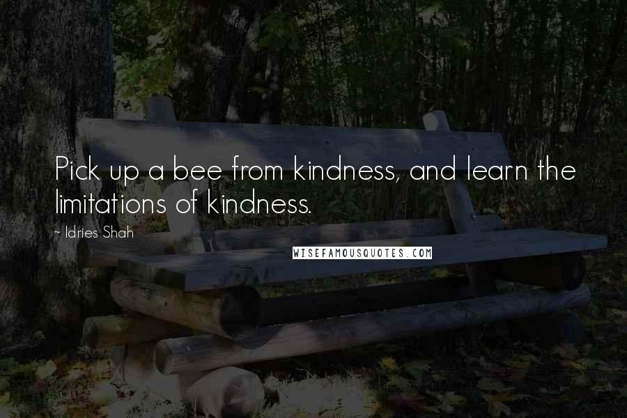 Idries Shah Quotes: Pick up a bee from kindness, and learn the limitations of kindness.