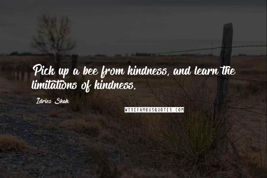 Idries Shah Quotes: Pick up a bee from kindness, and learn the limitations of kindness.