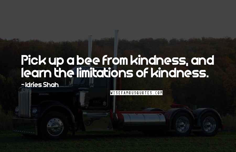 Idries Shah Quotes: Pick up a bee from kindness, and learn the limitations of kindness.