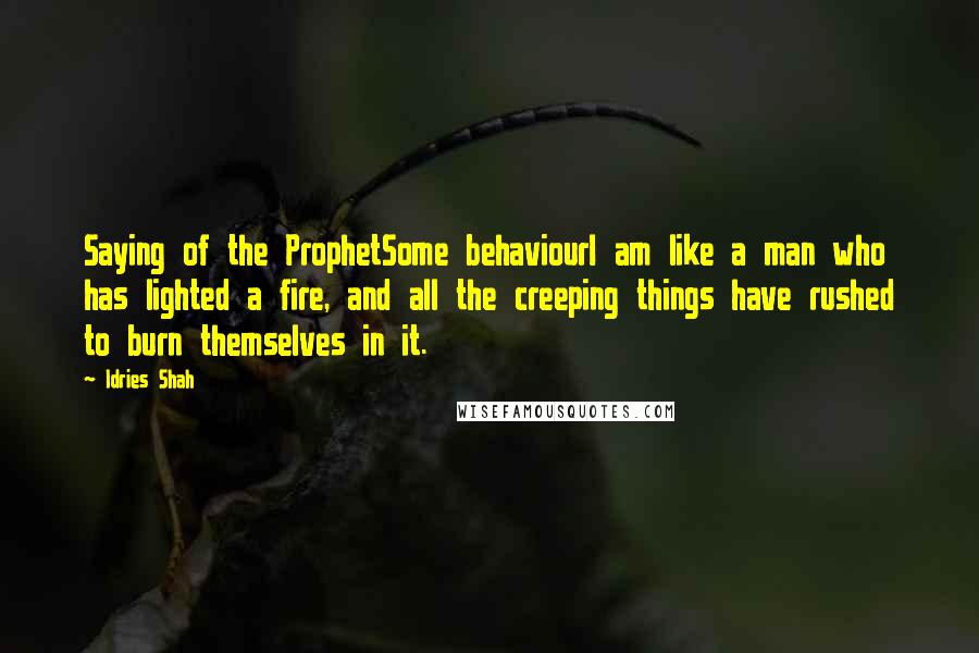 Idries Shah Quotes: Saying of the ProphetSome behaviourI am like a man who has lighted a fire, and all the creeping things have rushed to burn themselves in it.