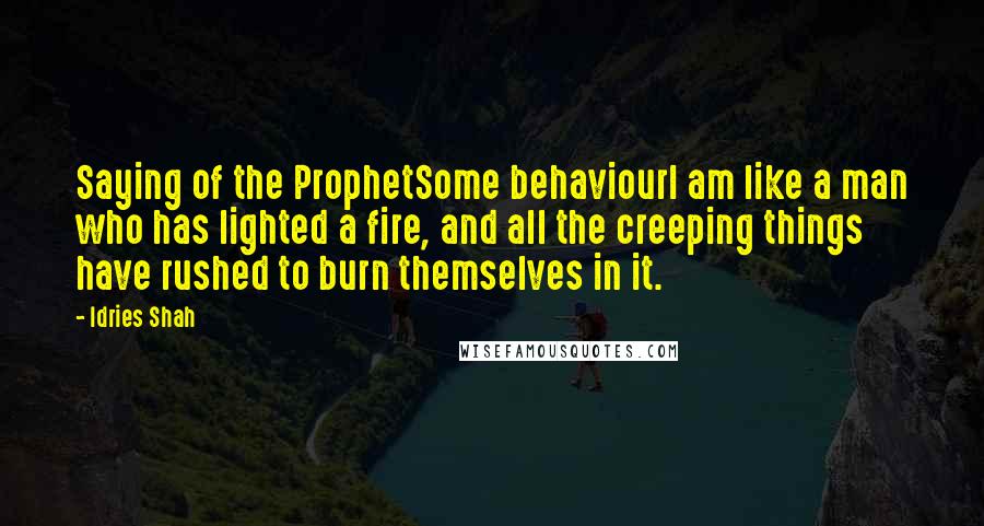 Idries Shah Quotes: Saying of the ProphetSome behaviourI am like a man who has lighted a fire, and all the creeping things have rushed to burn themselves in it.