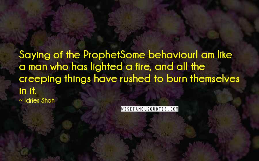 Idries Shah Quotes: Saying of the ProphetSome behaviourI am like a man who has lighted a fire, and all the creeping things have rushed to burn themselves in it.
