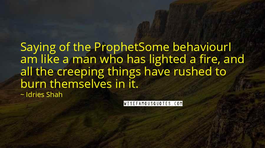 Idries Shah Quotes: Saying of the ProphetSome behaviourI am like a man who has lighted a fire, and all the creeping things have rushed to burn themselves in it.