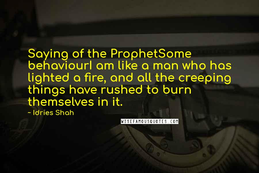 Idries Shah Quotes: Saying of the ProphetSome behaviourI am like a man who has lighted a fire, and all the creeping things have rushed to burn themselves in it.