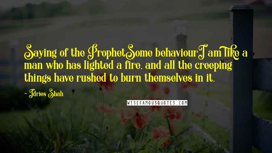 Idries Shah Quotes: Saying of the ProphetSome behaviourI am like a man who has lighted a fire, and all the creeping things have rushed to burn themselves in it.