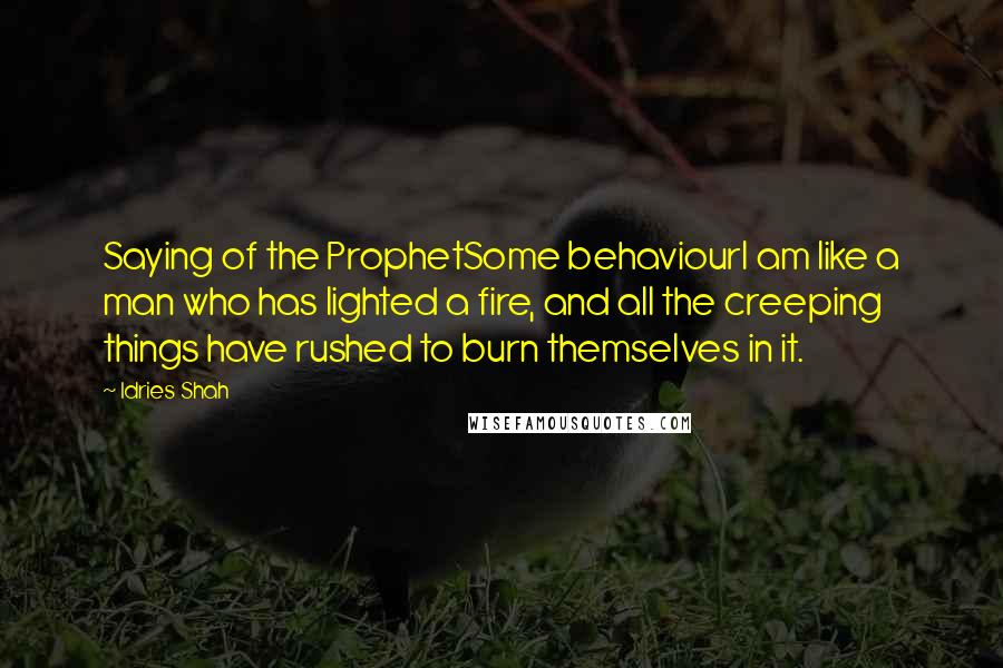 Idries Shah Quotes: Saying of the ProphetSome behaviourI am like a man who has lighted a fire, and all the creeping things have rushed to burn themselves in it.