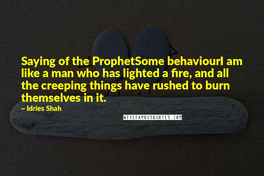 Idries Shah Quotes: Saying of the ProphetSome behaviourI am like a man who has lighted a fire, and all the creeping things have rushed to burn themselves in it.