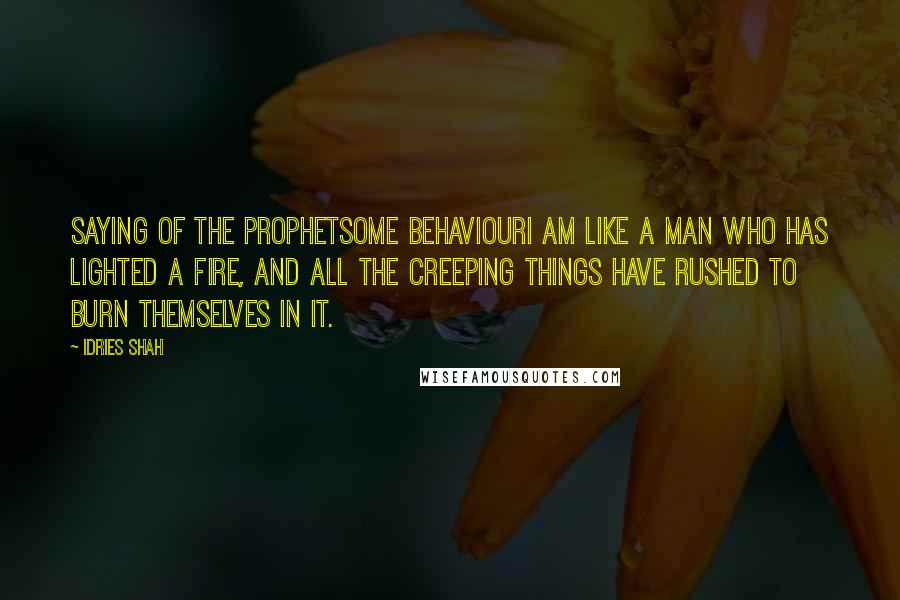 Idries Shah Quotes: Saying of the ProphetSome behaviourI am like a man who has lighted a fire, and all the creeping things have rushed to burn themselves in it.