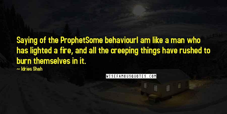 Idries Shah Quotes: Saying of the ProphetSome behaviourI am like a man who has lighted a fire, and all the creeping things have rushed to burn themselves in it.