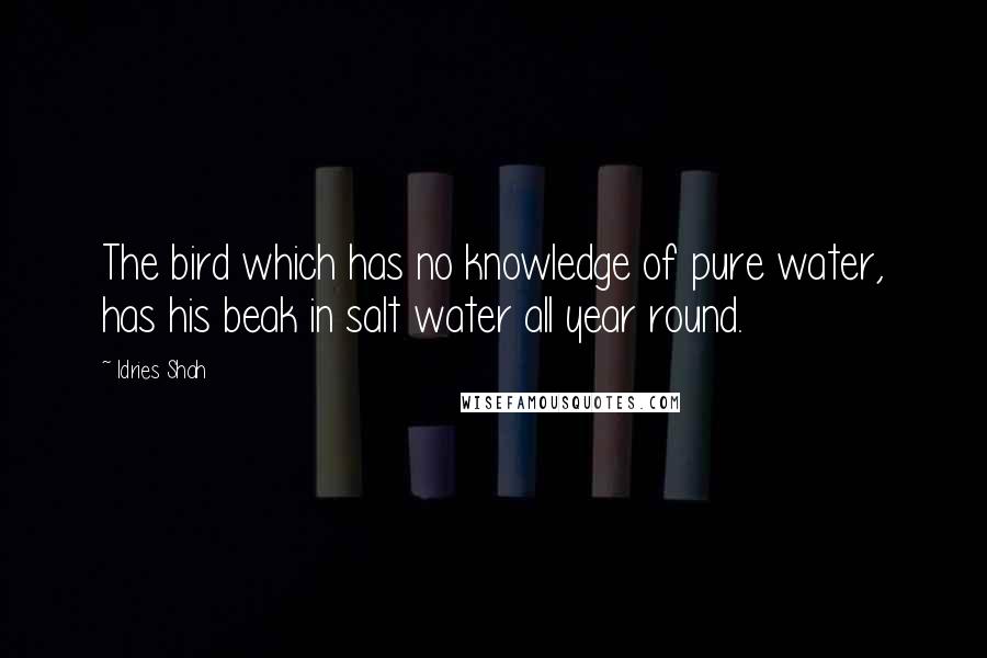 Idries Shah Quotes: The bird which has no knowledge of pure water, has his beak in salt water all year round.