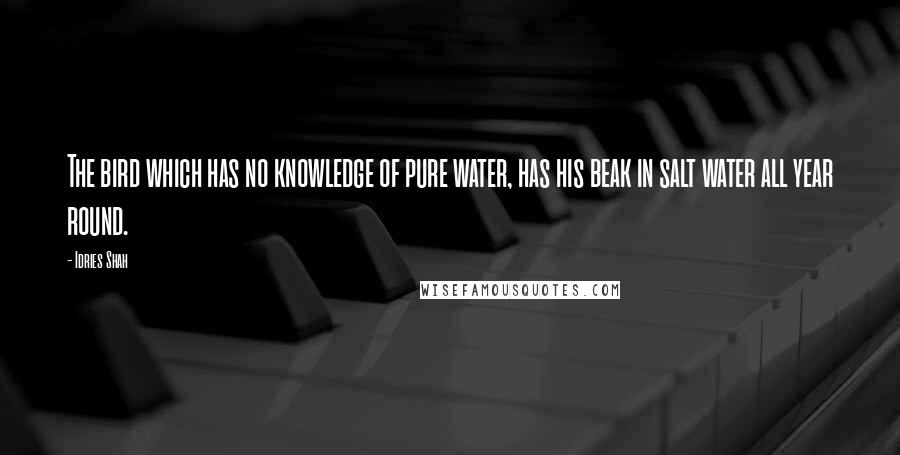 Idries Shah Quotes: The bird which has no knowledge of pure water, has his beak in salt water all year round.