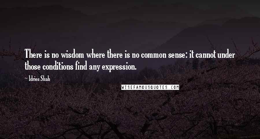 Idries Shah Quotes: There is no wisdom where there is no common sense: it cannot under those conditions find any expression.