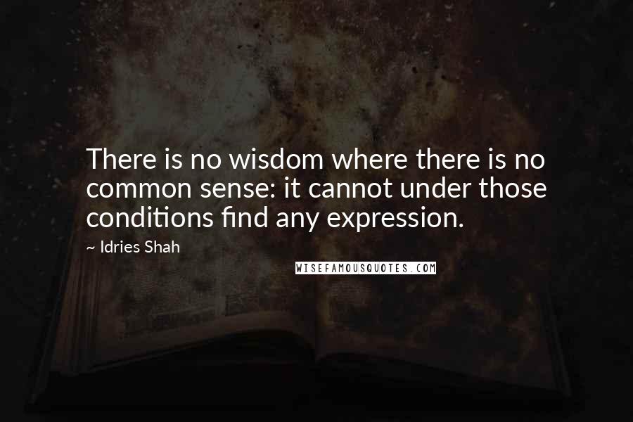Idries Shah Quotes: There is no wisdom where there is no common sense: it cannot under those conditions find any expression.