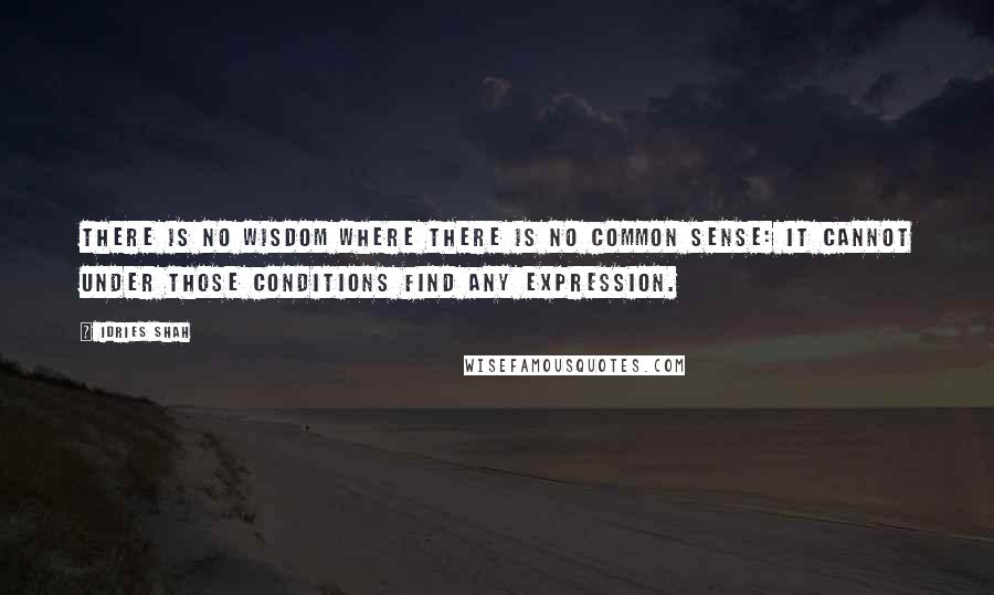 Idries Shah Quotes: There is no wisdom where there is no common sense: it cannot under those conditions find any expression.