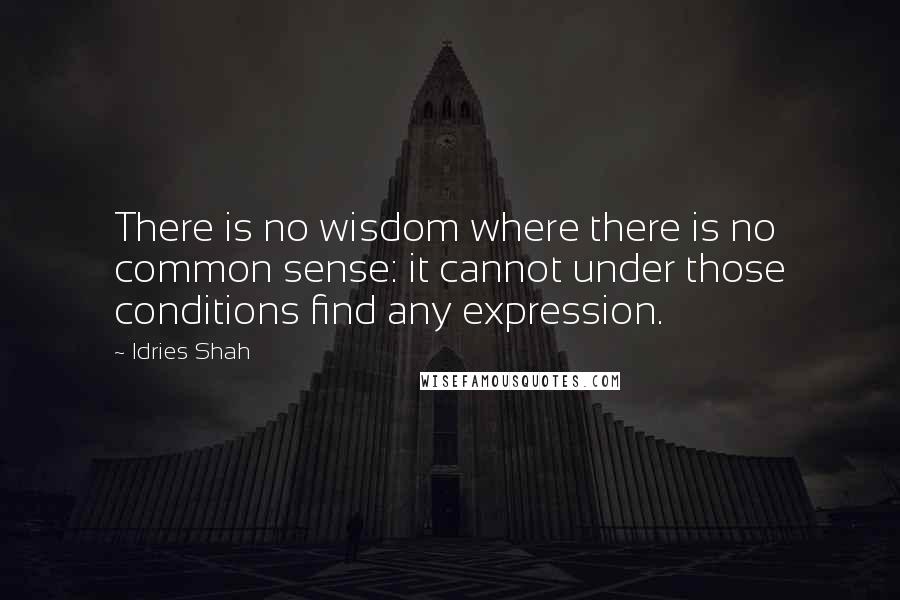 Idries Shah Quotes: There is no wisdom where there is no common sense: it cannot under those conditions find any expression.