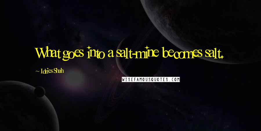 Idries Shah Quotes: What goes into a salt-mine becomes salt.