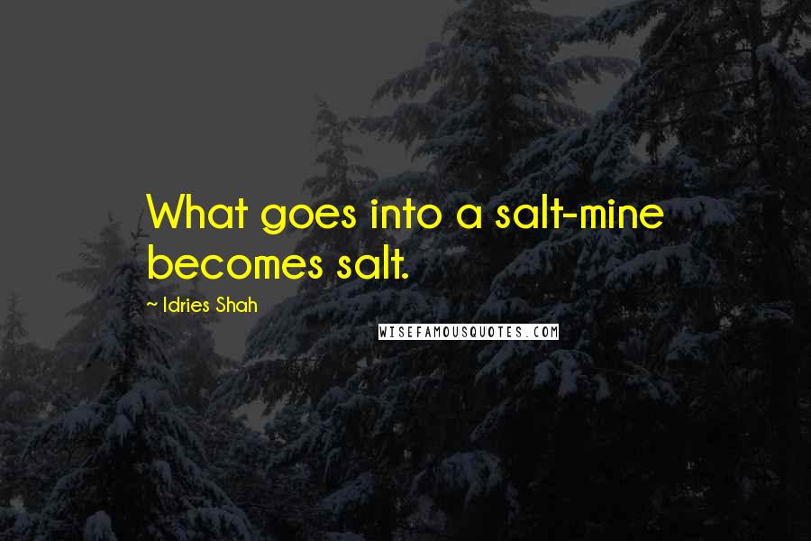 Idries Shah Quotes: What goes into a salt-mine becomes salt.