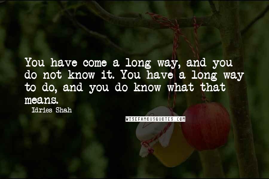 Idries Shah Quotes: You have come a long way, and you do not know it. You have a long way to do, and you do know what that means.