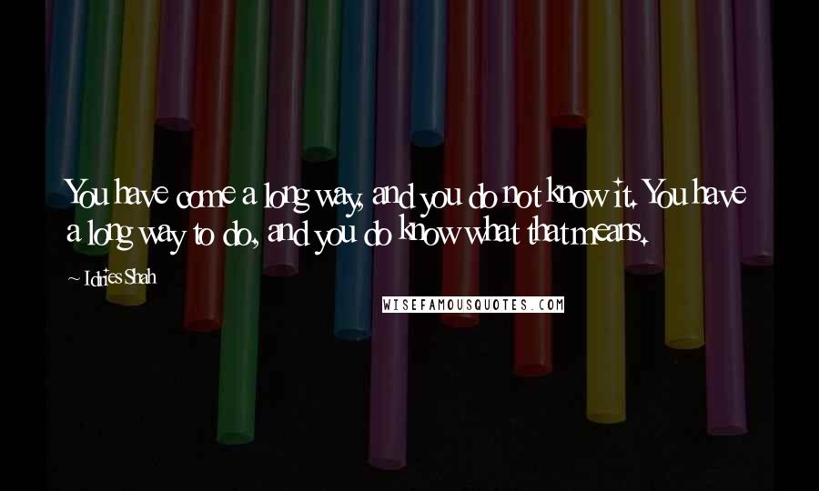 Idries Shah Quotes: You have come a long way, and you do not know it. You have a long way to do, and you do know what that means.