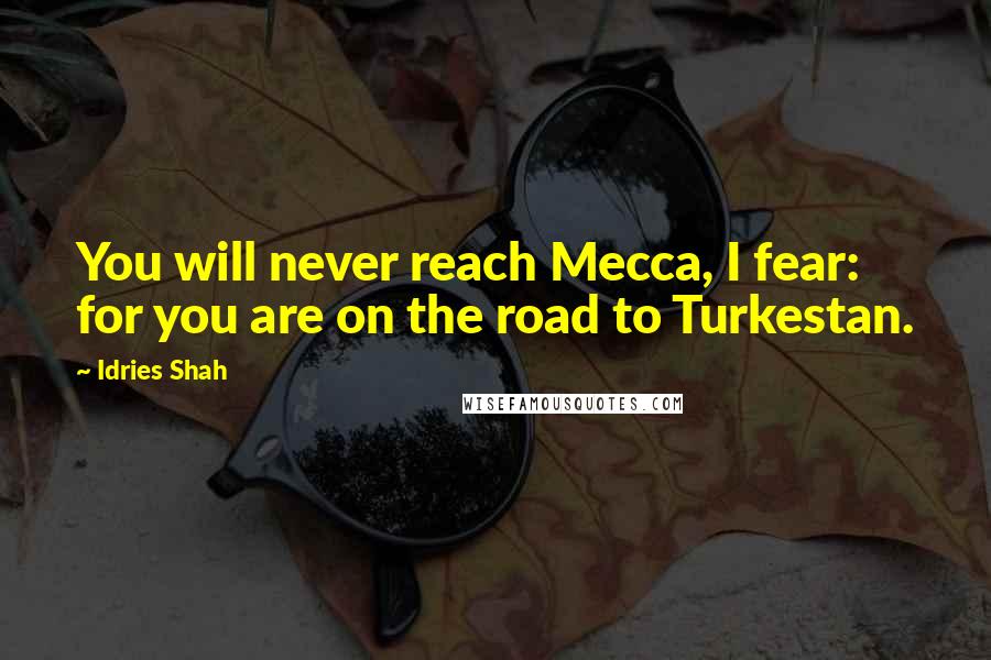 Idries Shah Quotes: You will never reach Mecca, I fear: for you are on the road to Turkestan.