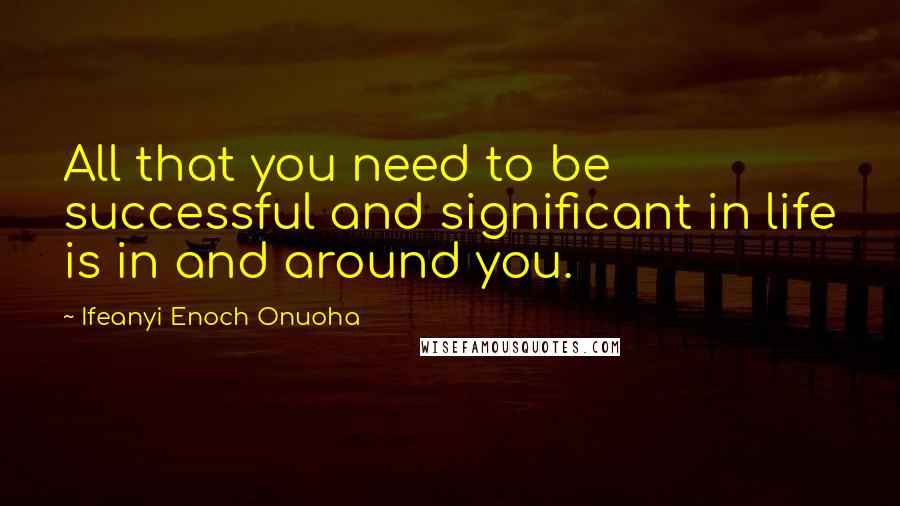 Ifeanyi Enoch Onuoha Quotes: All that you need to be successful and significant in life is in and around you.