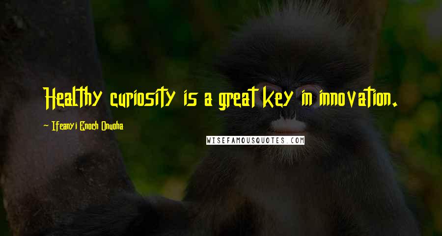 Ifeanyi Enoch Onuoha Quotes: Healthy curiosity is a great key in innovation.