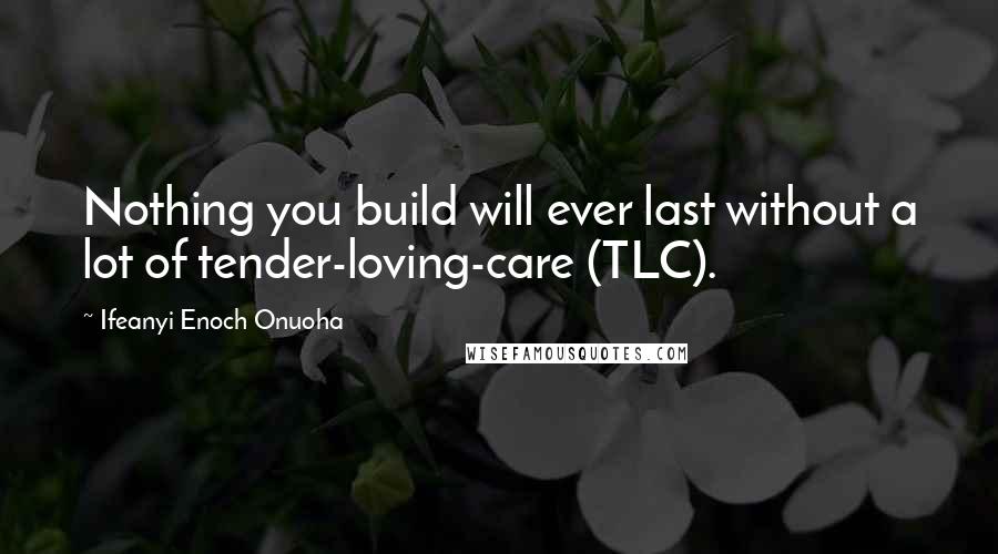 Ifeanyi Enoch Onuoha Quotes: Nothing you build will ever last without a lot of tender-loving-care (TLC).