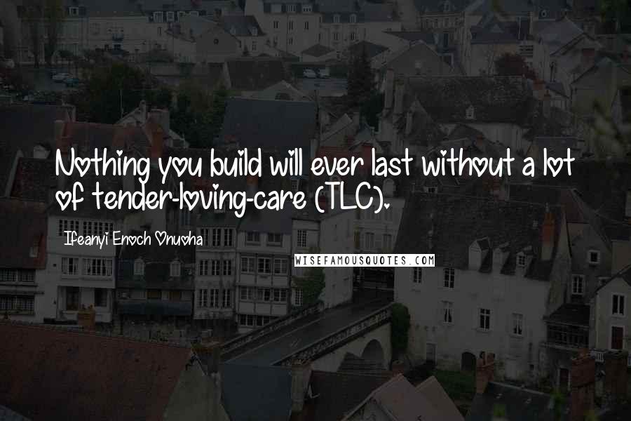 Ifeanyi Enoch Onuoha Quotes: Nothing you build will ever last without a lot of tender-loving-care (TLC).