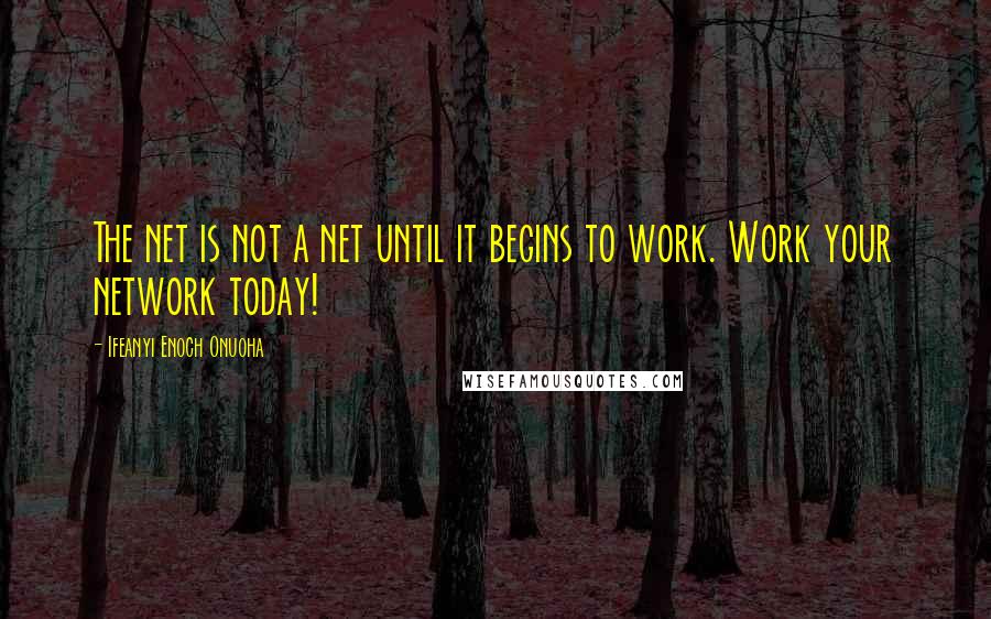 Ifeanyi Enoch Onuoha Quotes: The net is not a net until it begins to work. Work your network today!