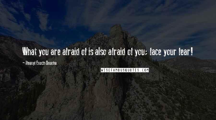 Ifeanyi Enoch Onuoha Quotes: What you are afraid of is also afraid of you; face your fear!