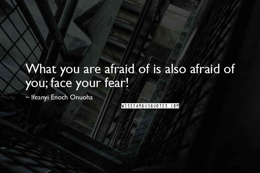 Ifeanyi Enoch Onuoha Quotes: What you are afraid of is also afraid of you; face your fear!