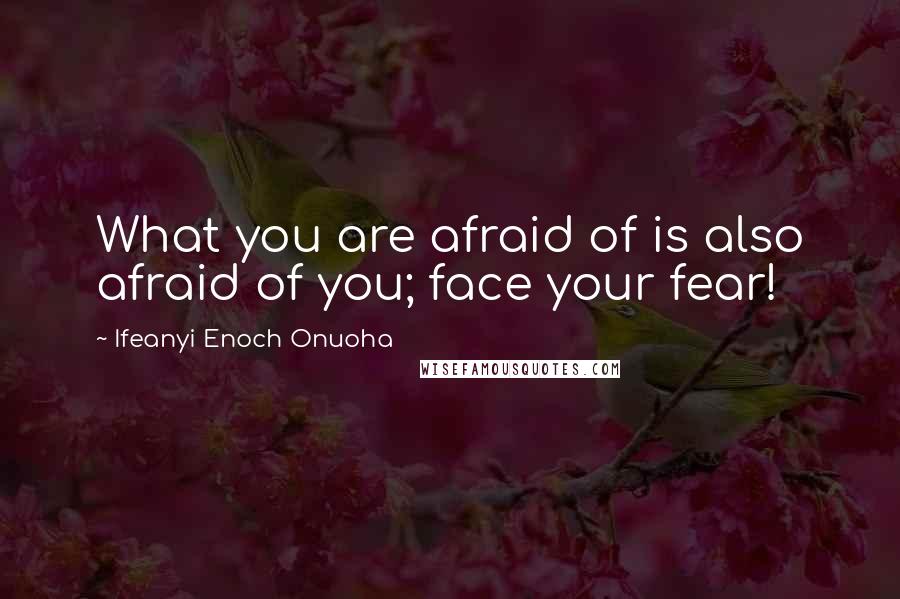 Ifeanyi Enoch Onuoha Quotes: What you are afraid of is also afraid of you; face your fear!