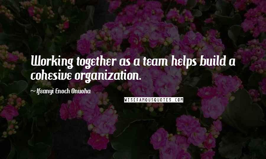 Ifeanyi Enoch Onuoha Quotes: Working together as a team helps build a cohesive organization.