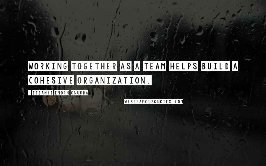 Ifeanyi Enoch Onuoha Quotes: Working together as a team helps build a cohesive organization.