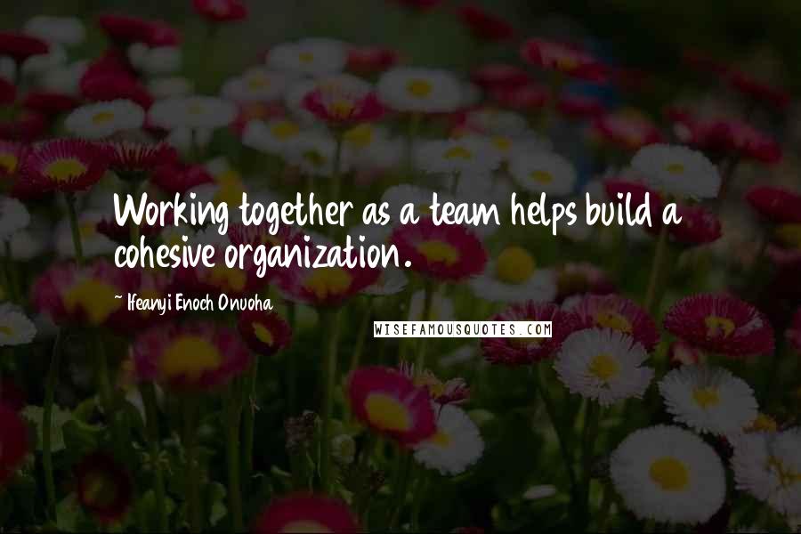 Ifeanyi Enoch Onuoha Quotes: Working together as a team helps build a cohesive organization.