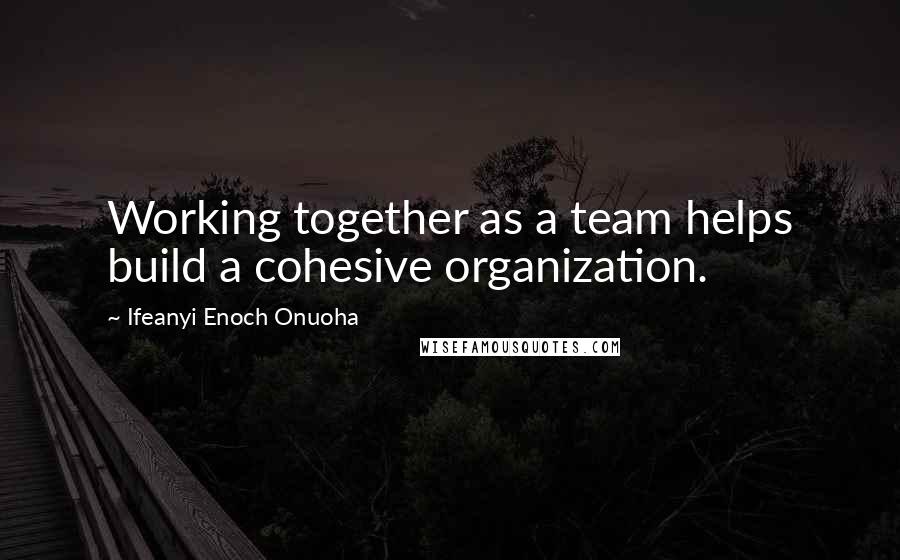 Ifeanyi Enoch Onuoha Quotes: Working together as a team helps build a cohesive organization.